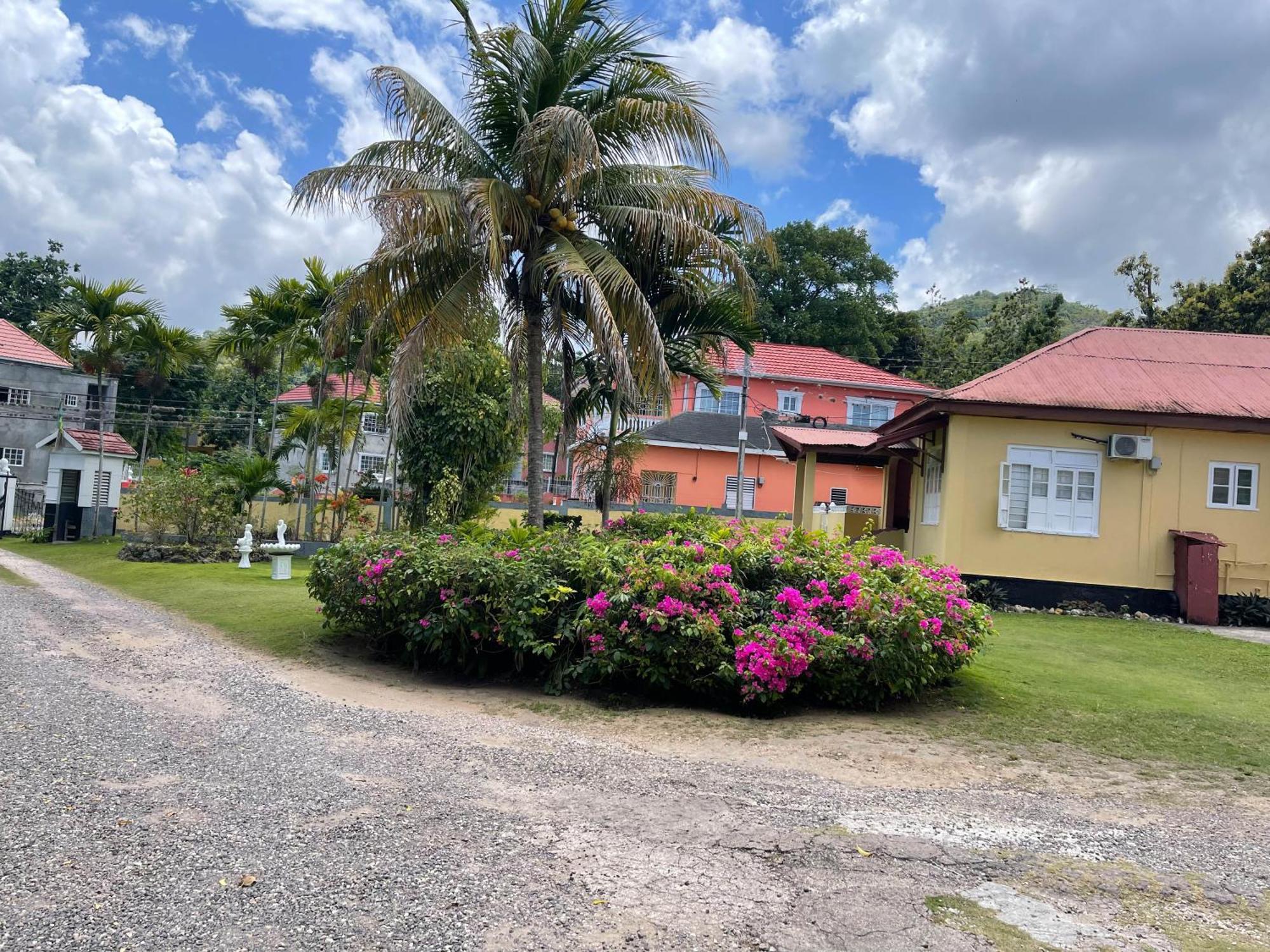 Little Shaw Park Guest House أوشو ريوس المظهر الخارجي الصورة
